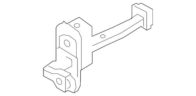 Door Check - Passenger Side (RH) - Kia (79490-G5000)