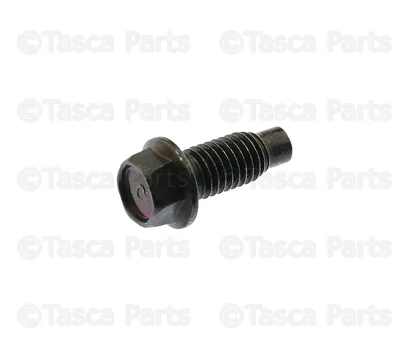 Door Check Bolt - Nissan (80498-40U0B)