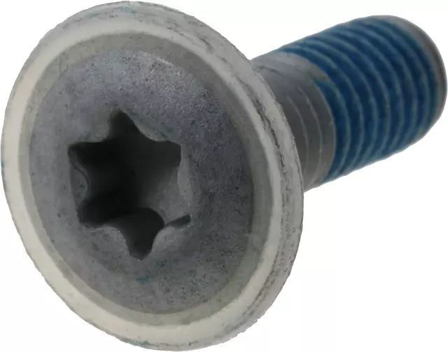 Door Lock Striker Plate Bolt - Nissan (80599-4AF0A)