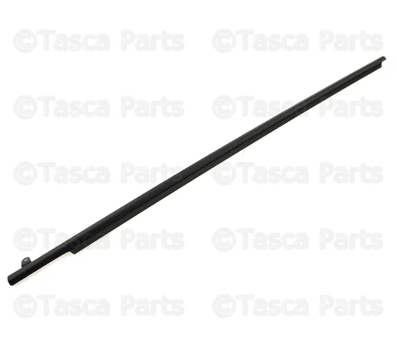 Door Window Belt Weatherstrip - Nissan (80821-CD711)