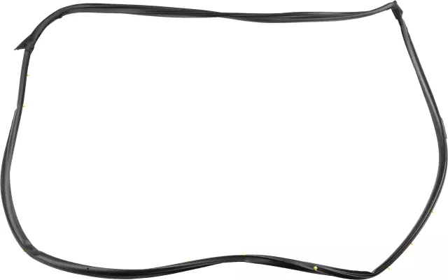 Front Right Door Weatherstrip - Nissan (80830-4RA0D)