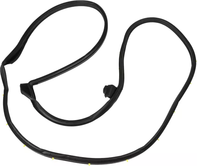 Front Left Door Weatherstrip - Nissan (80831-3KA0D)