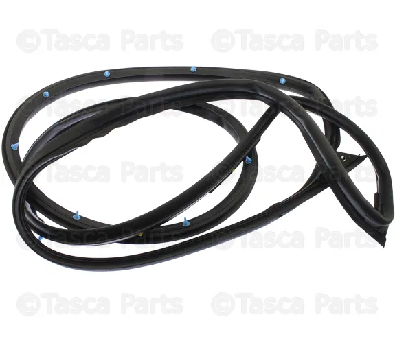 Front Left Door Weatherstrip - Nissan (80831-4RA0D)
