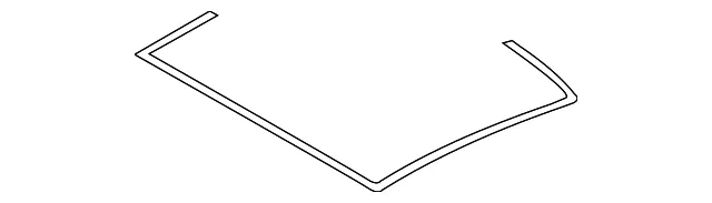 Rear Glass Weatherstrip - Kia (81619-3R500)