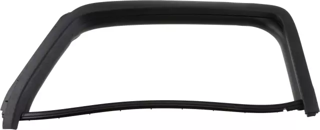 Door Glass Seal - Passenger Side (RH) - Nissan (82272-ZP70B)
