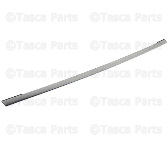 Rear Door Sash Moulding, Front Left - Nissan (82283-5BC0C)