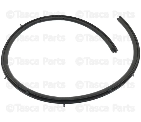 Weatherstrip - Passenger Side (RH) - Nissan (82830-ZS20A)