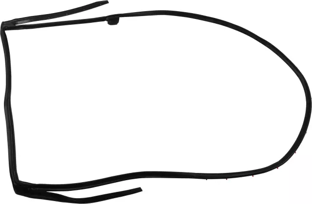 Rear Left Door Weatherstrip - Nissan (82831-3KA0F)