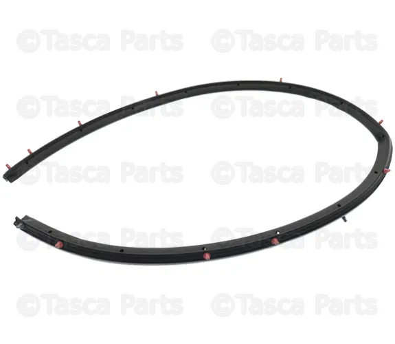 Weatherstrip - Driver's Side (LH) - Nissan (82831-ZS20A)