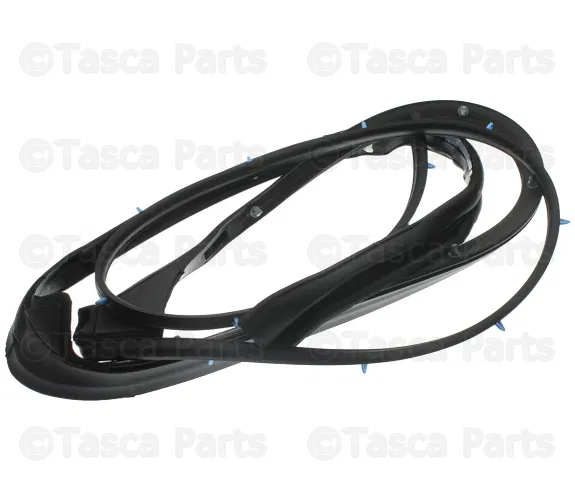 Rear Door Partition Seal, Right - Nissan (82838-EA01B)