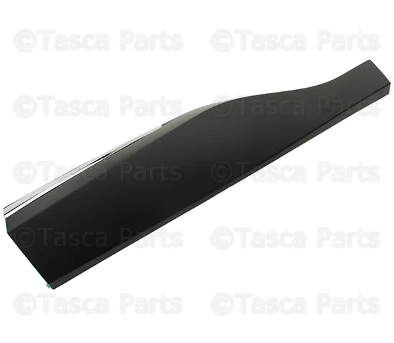 Door Molding - Nissan (82871-9UA0A)