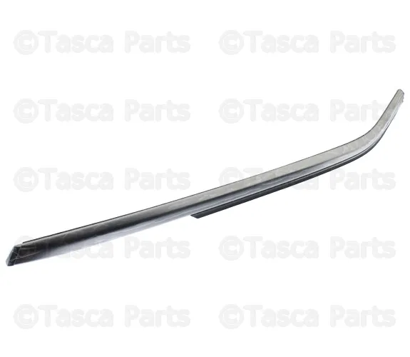 Side Window Moulding, Lower Left - Nissan (83821-5BC0A)