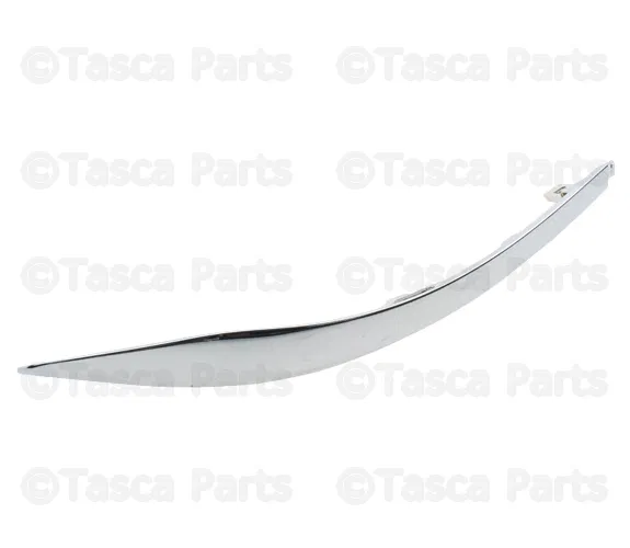 Bumper Trim - Nissan (85074-5AA0A)
