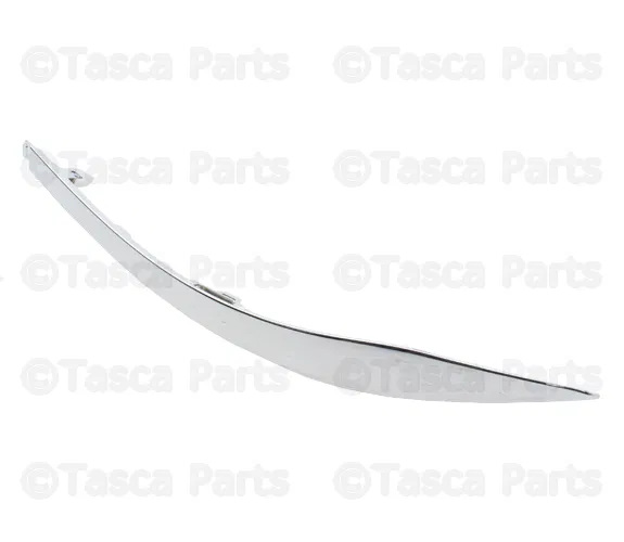 Bumper Trim - Nissan (85075-5AA0A)