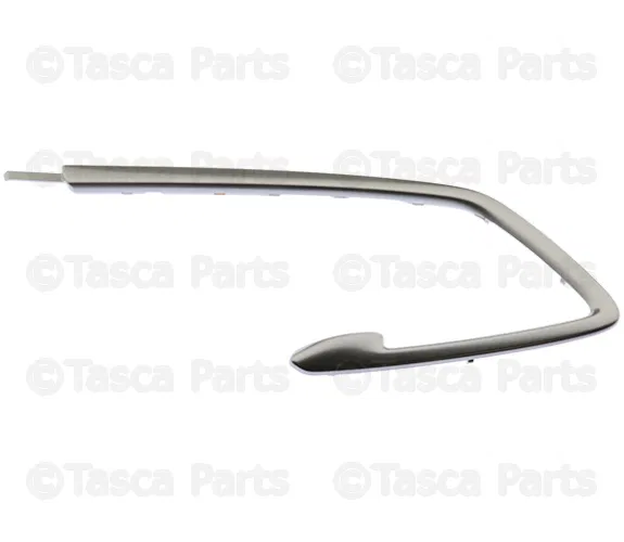 Trim Molding - Volvo (8635859)