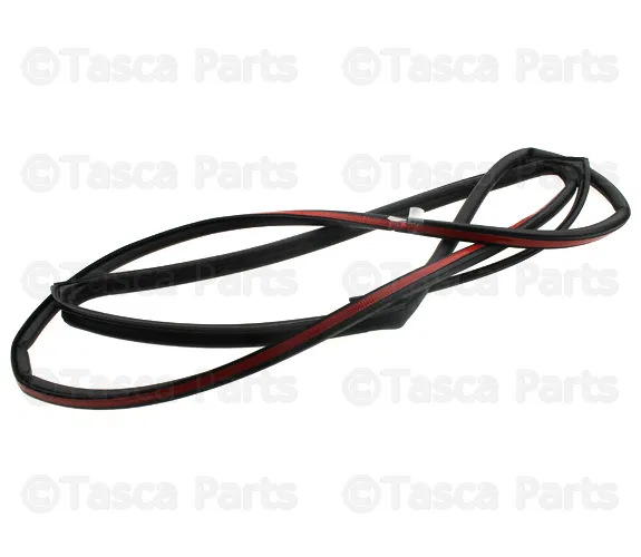 Door Weather-Strip - Passenger Side (RH) - Volvo (8663776)