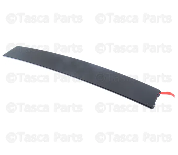 Door Applique - Volvo (8663887)