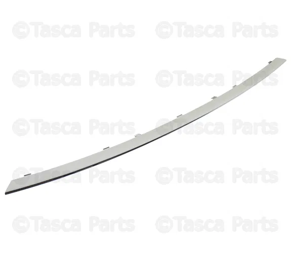 Bumper Trim - Volvo (8693044)