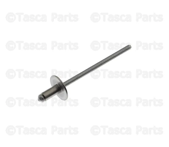 Info Label - Mazda (9025-73-206)