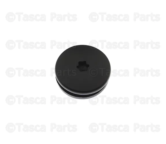 Hinge Fastener - Nissan (90398-ZQ000)