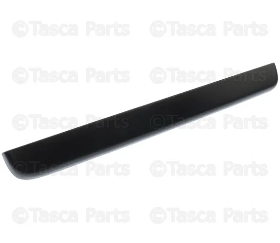 Door Molding - Nissan (90810-1PA0A)