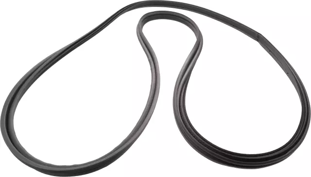 Back Door Weatherstrip - Nissan (90830-5RB0A)