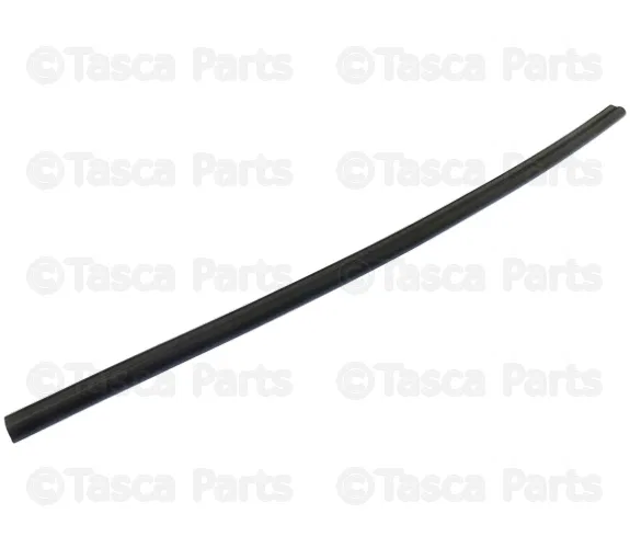 Door Shell Seal - Volvo (9133594)