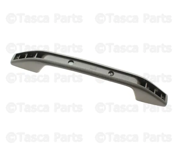 Courtesy Handle - Volvo (9165532)