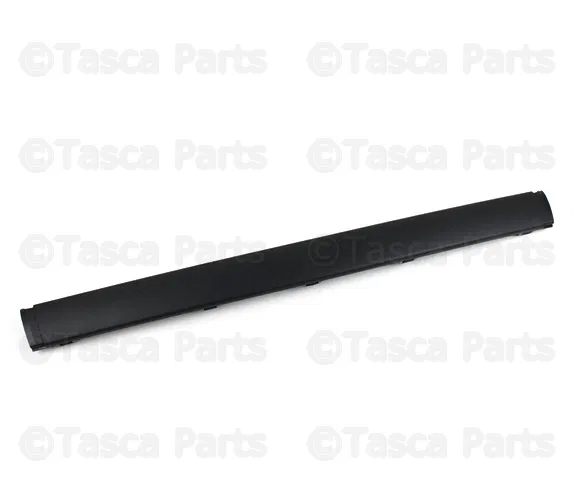 Center Molding - Volvo (9484229)