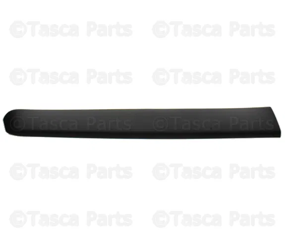 Body Side Molding - Volvo (9484343)