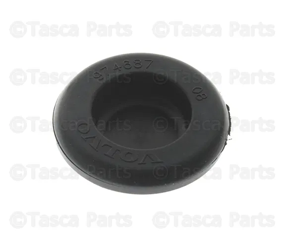 Lift-Gate Hinge Cap - Volvo (974687)