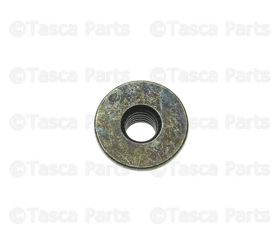 Door Check Nut - Mazda (9994-00-603B)