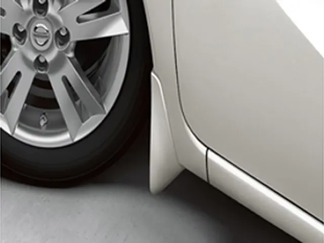 Splash Guards - Front Set - Monarch Orange - Nissan (999J2-45EBB03)