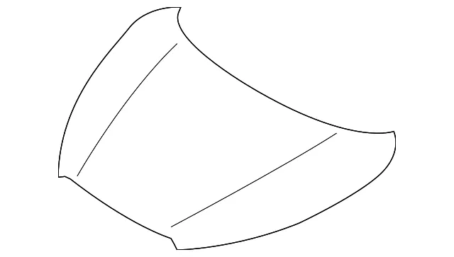 Hood - Nissan (F5100-5RBMA)