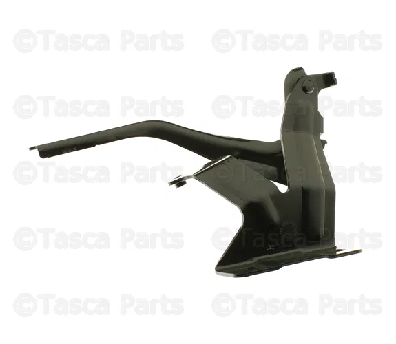 Hinge - Driver's Side (LH) - Nissan (F5401-3NFMA)
