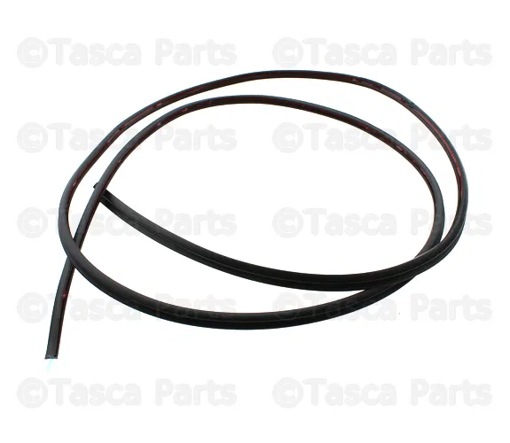 Reveal Molding - Passenger Side (RH) - Mazda (FE15-50-601A)