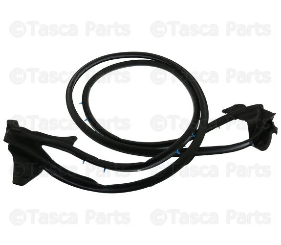 Door Weather-Strip - Passenger Side (RH) - Mazda (N243-58-760H)
