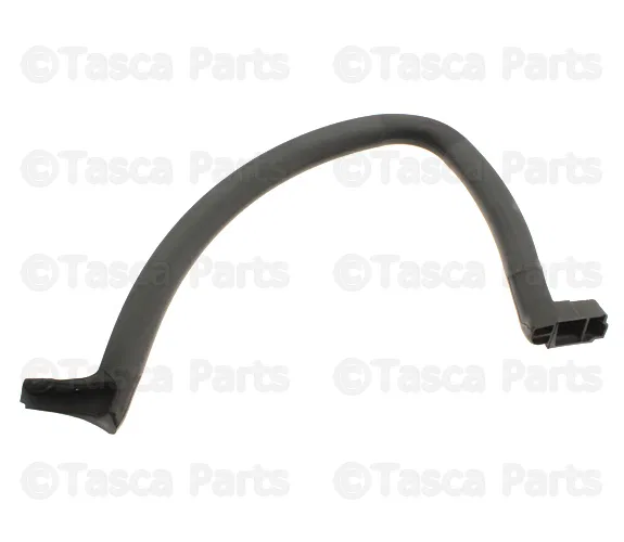 Weatherstrip - Passenger Side (RH) - Mazda (NC10-R1-881D)