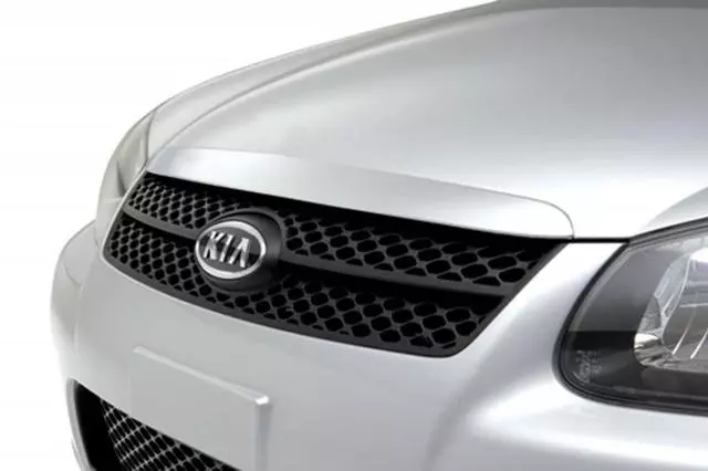Sport Mesh Grille - Kia (P8380-2F001)