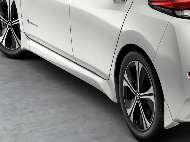 Splash Guards - Rear QAK White Glacier White - Nissan (T99J2-6CA7B)