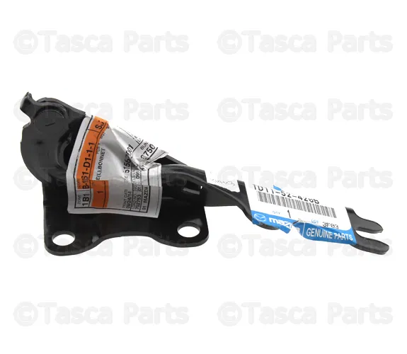 Hinge - Driver's Side (LH) - Mazda (TD11-52-420B)