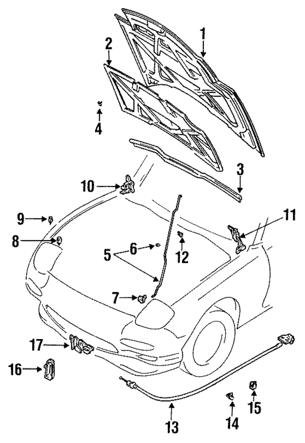 Hood - Mazda (fd0152310g)